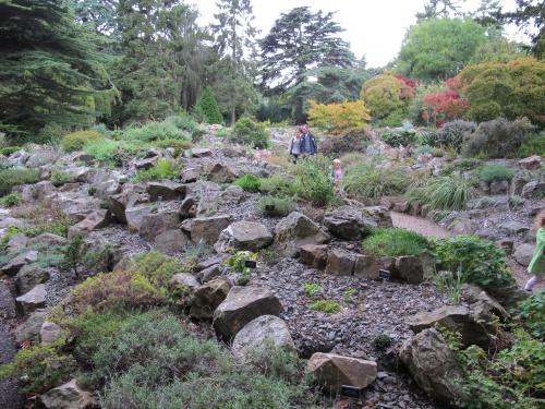 a stone garden in the botanic garden dublin